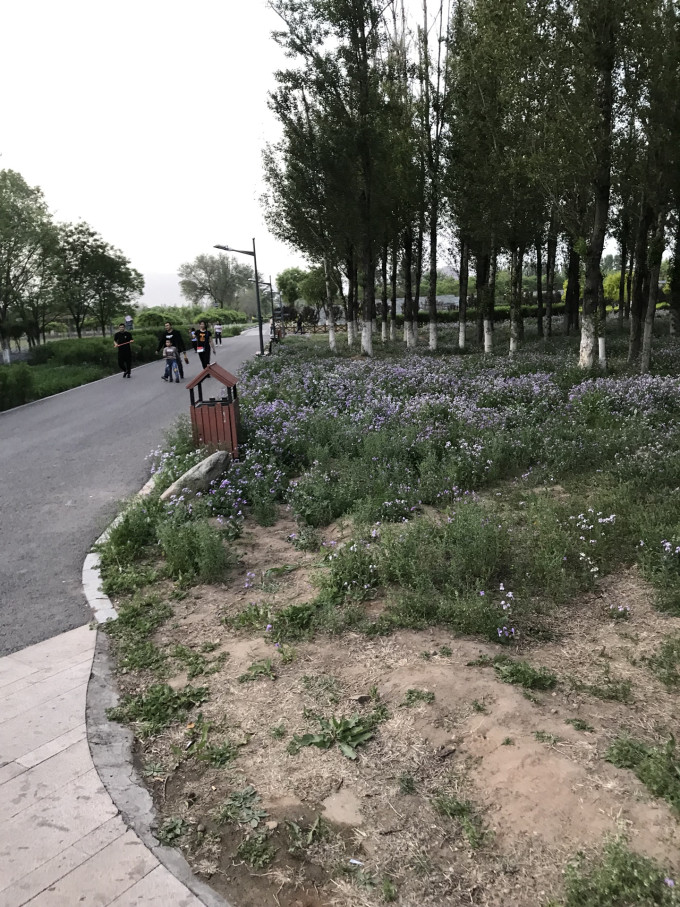 口泉植物园 马蜂窝